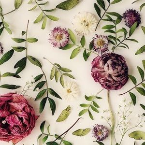 Meet your Posher, Roxy